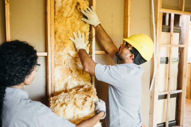 Best Best Insulation Companies  in Imperial, CA