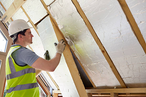 Best Professional Insulation Contractor  in Imperial, CA